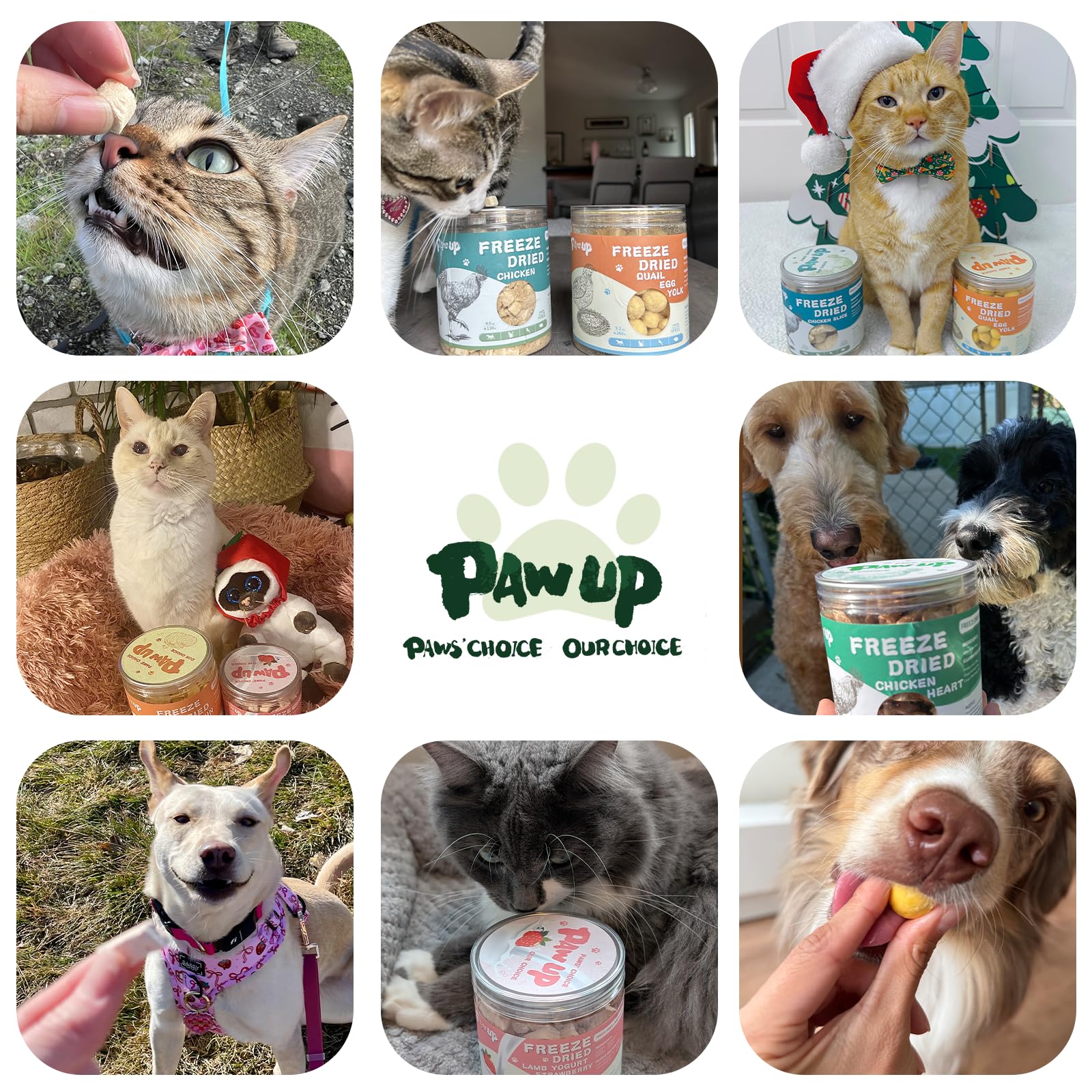 PAWUP packaging side shot highlights shelf-stable, natural ingredients