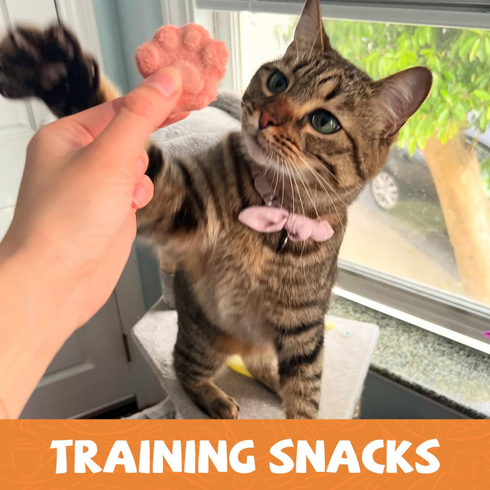 PAWUP freeze dried nutrients preserve vitamins for nutrient dense bites.