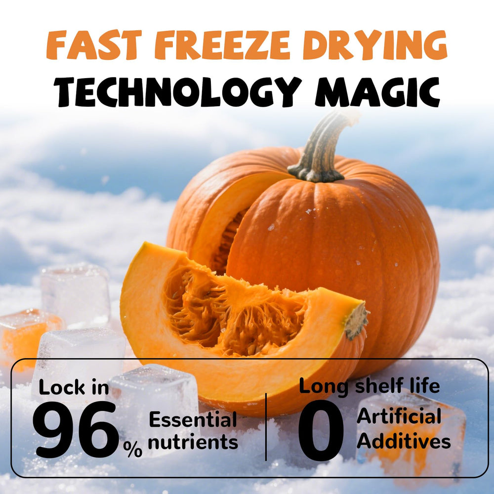 PAWUP pumpkin treats served to a cat, a healthy snack option