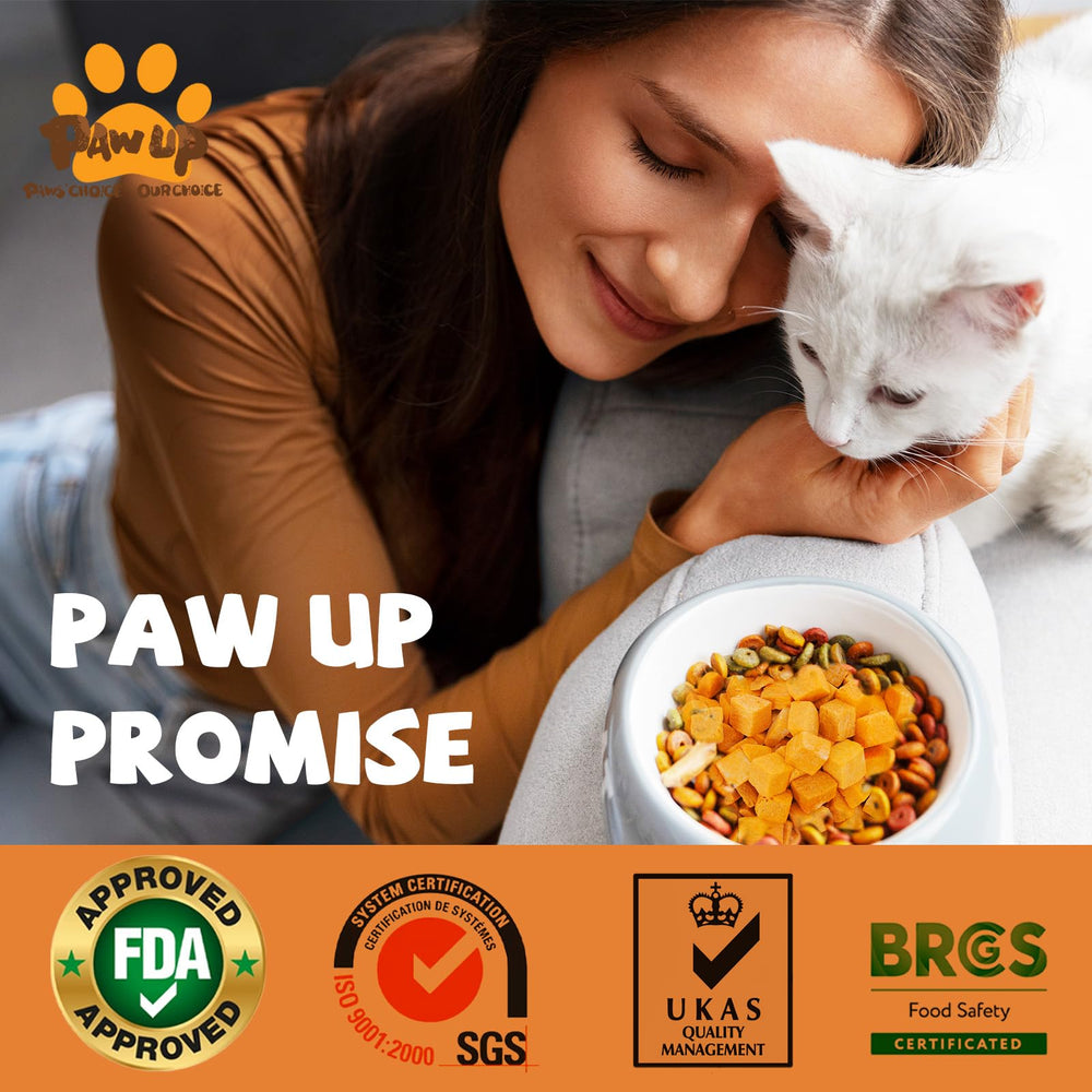 PAWUP pumpkin treats being offered to a dog after training