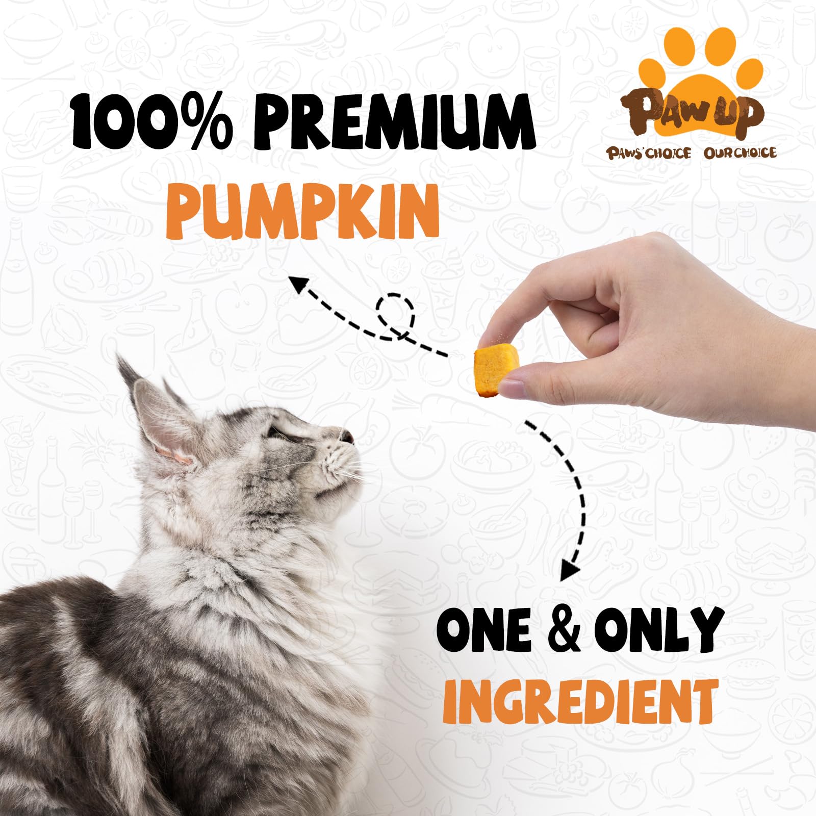 PAWUP Freeze-Dried Pumpkin Treats whole piece on wooden surface emphasizing single-ingredient pumpkin