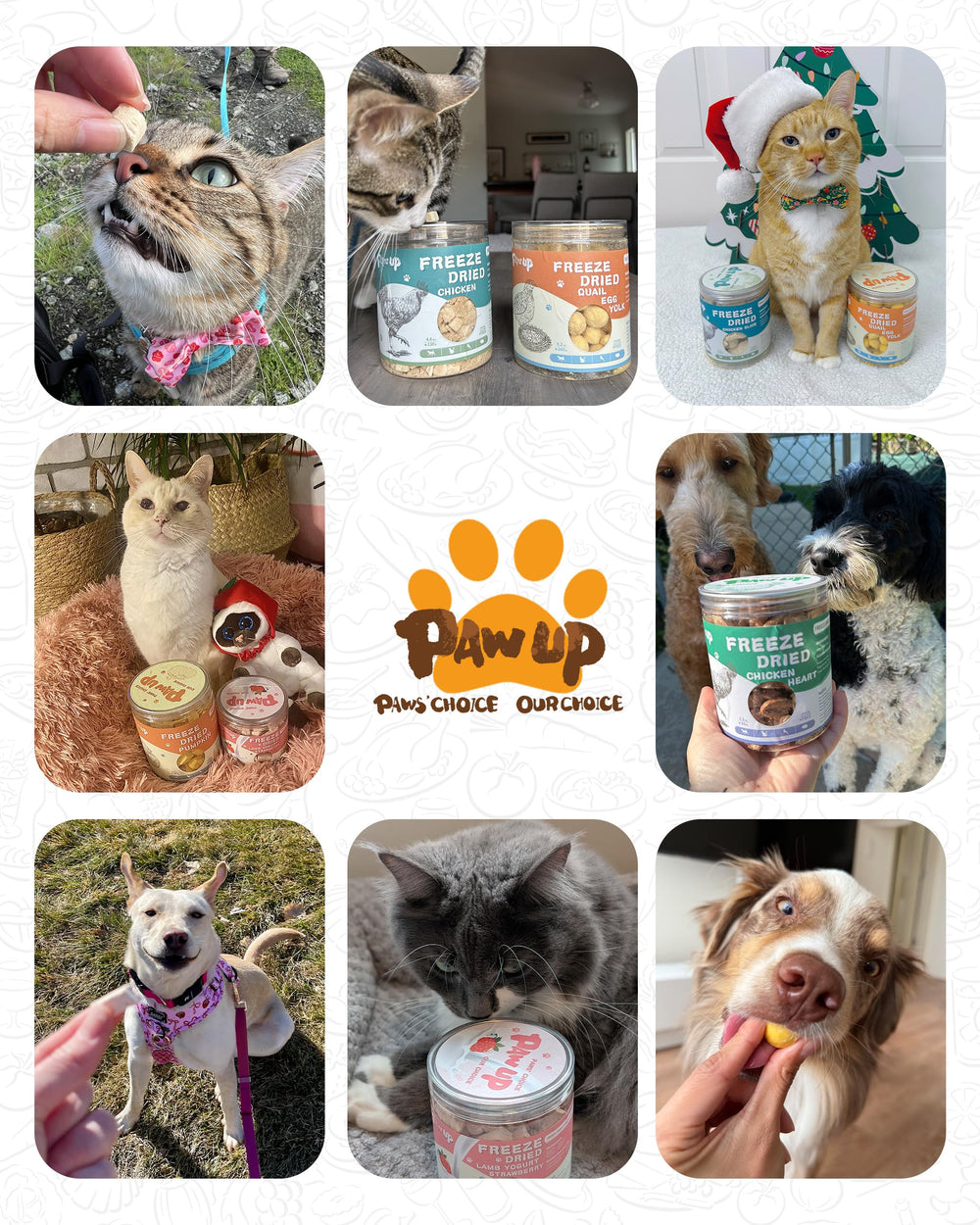 PAWUP dog treat image illustrating protein-forward snack