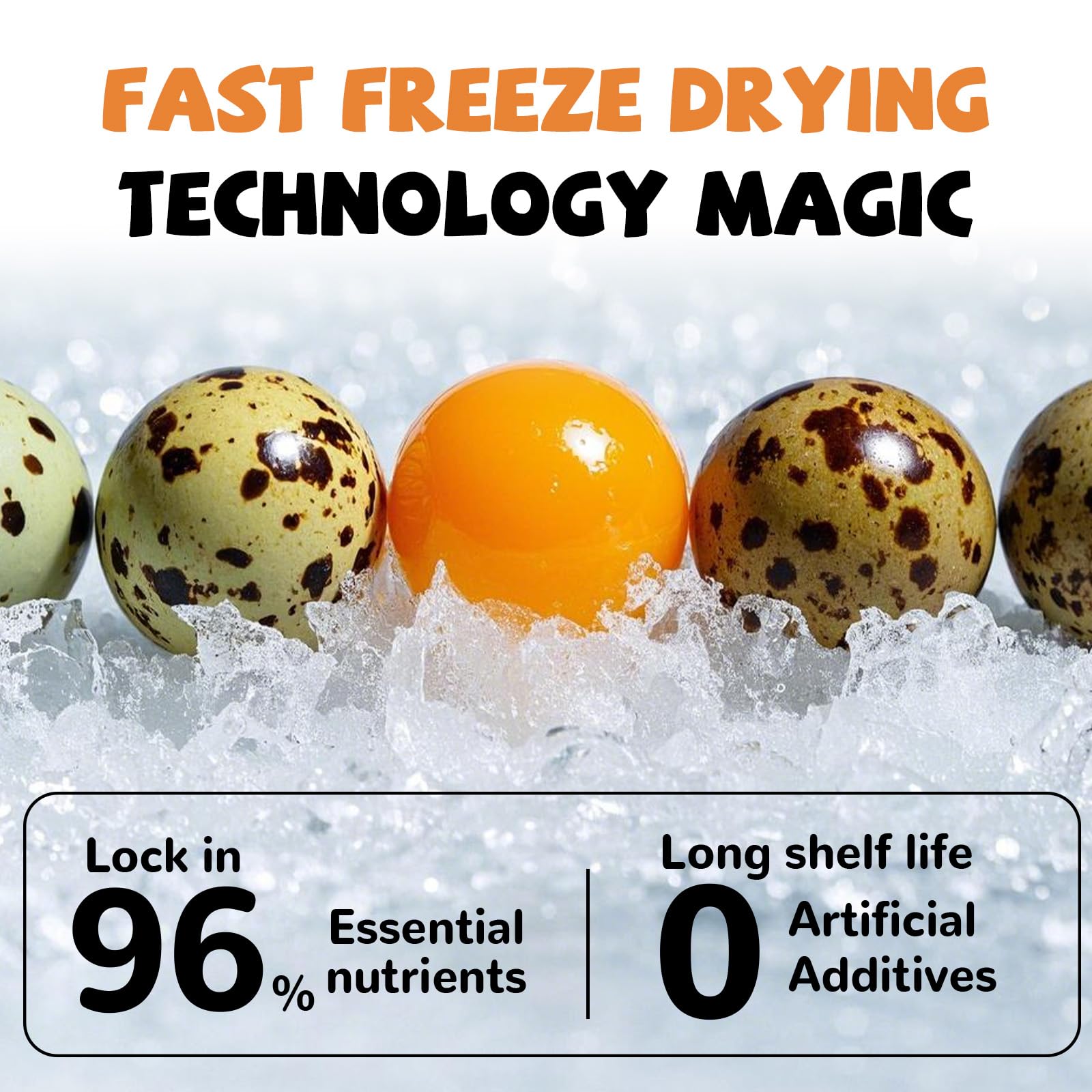 PAWUP freeze-dried quail egg yolk treats serving bowl demonstrates snack-ready carnivore fuel.