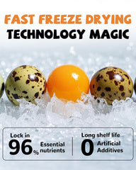 PAWUP whole bite of quail egg yolk treat for quick rewards