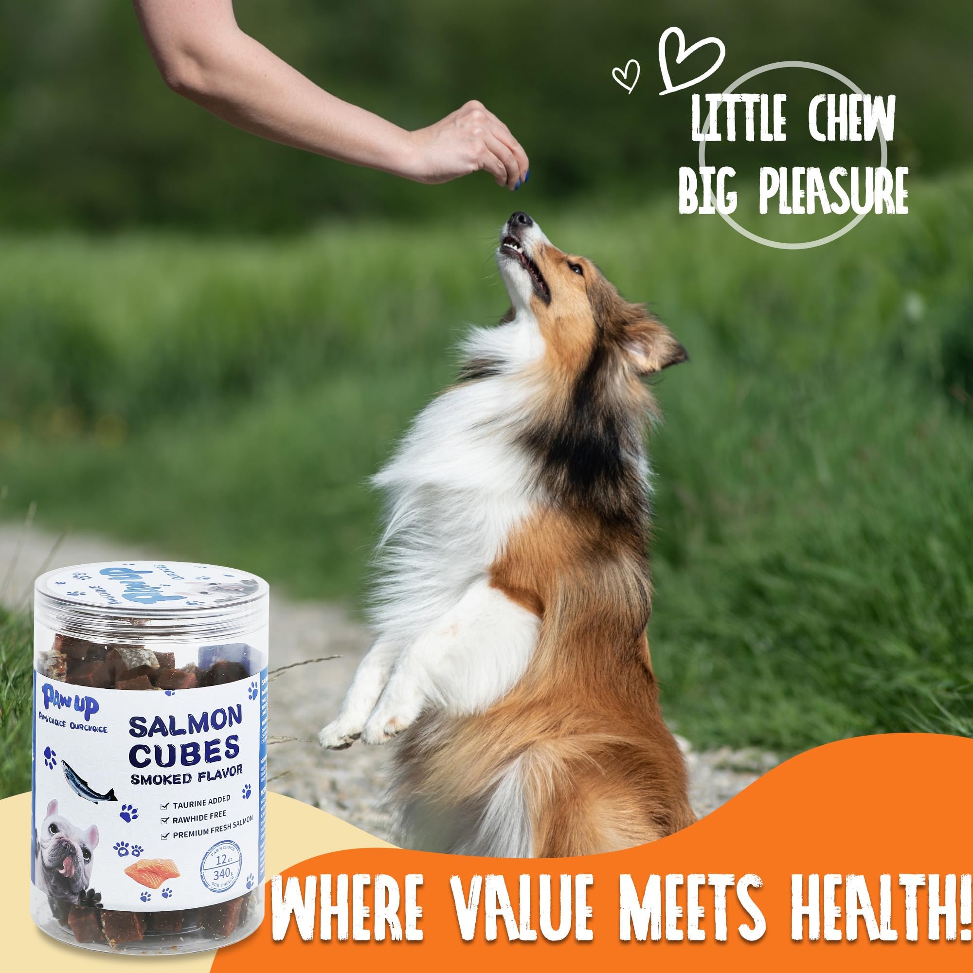 PAWUP Grain-free gluten-free bites allergy-conscious snack options