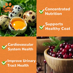 PAWUP grain free gluten free treats with natural ingredients for gentle digestion.