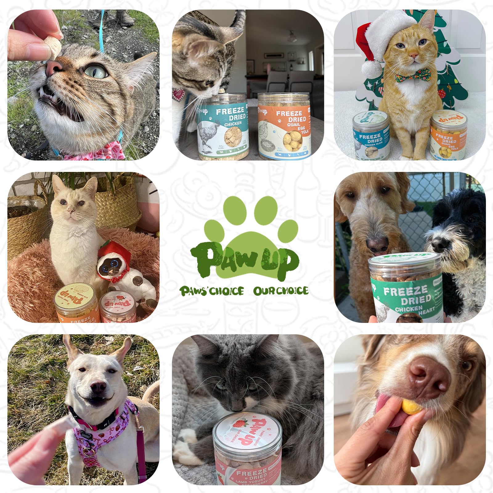 PAWUP High-protein Pet Treat supports active pets.