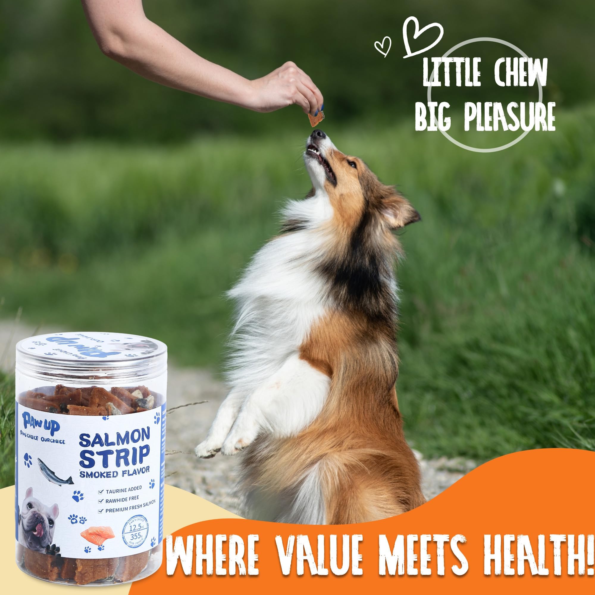 PAWUP low-fat-dog-snack—designed for weight-conscious dogs during training.