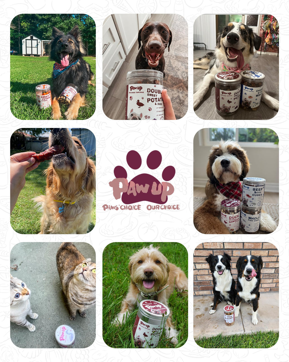 PAWUP medium dog training snack, perfect for rewarding good behavior.