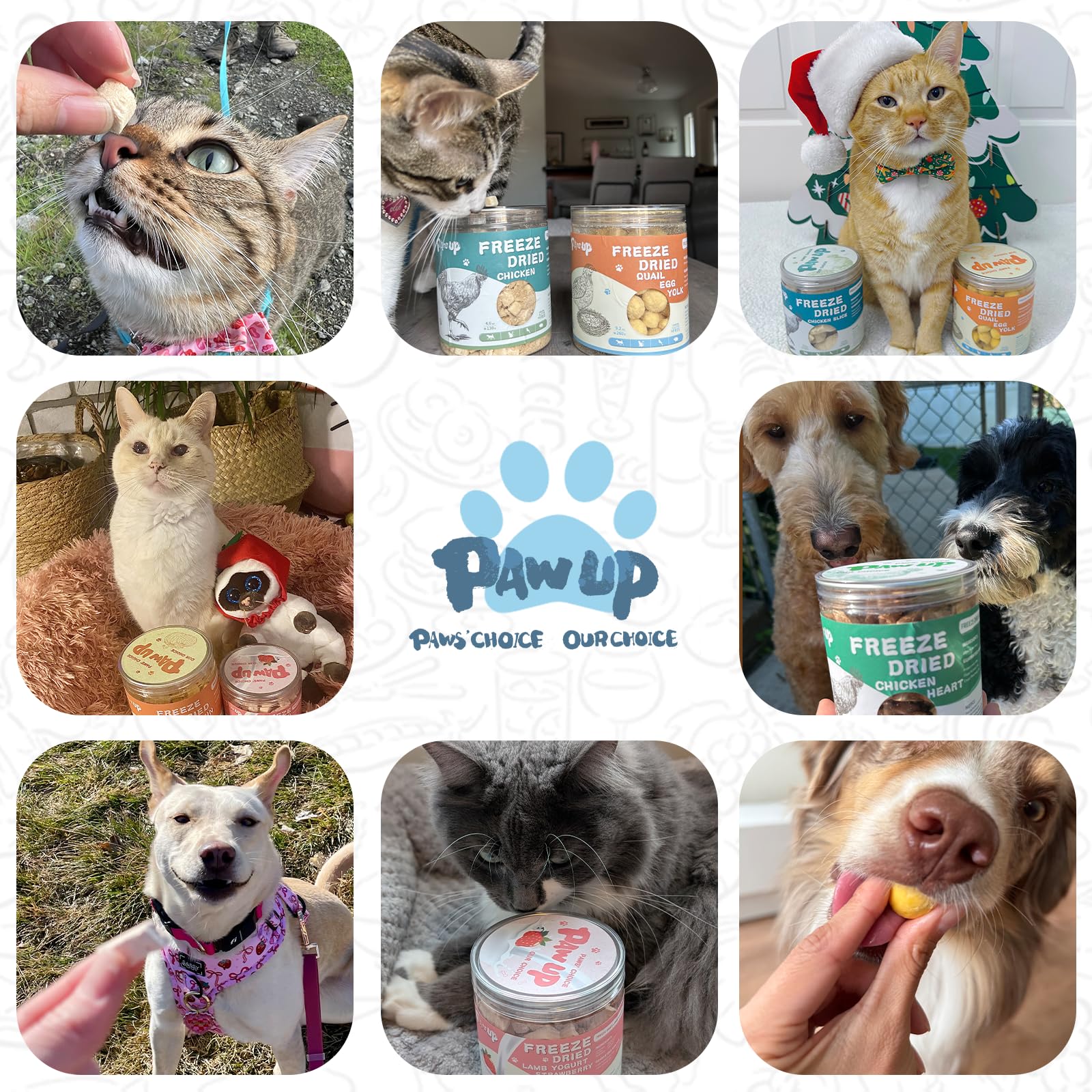 PAWUP natural ingredients no artificial additives