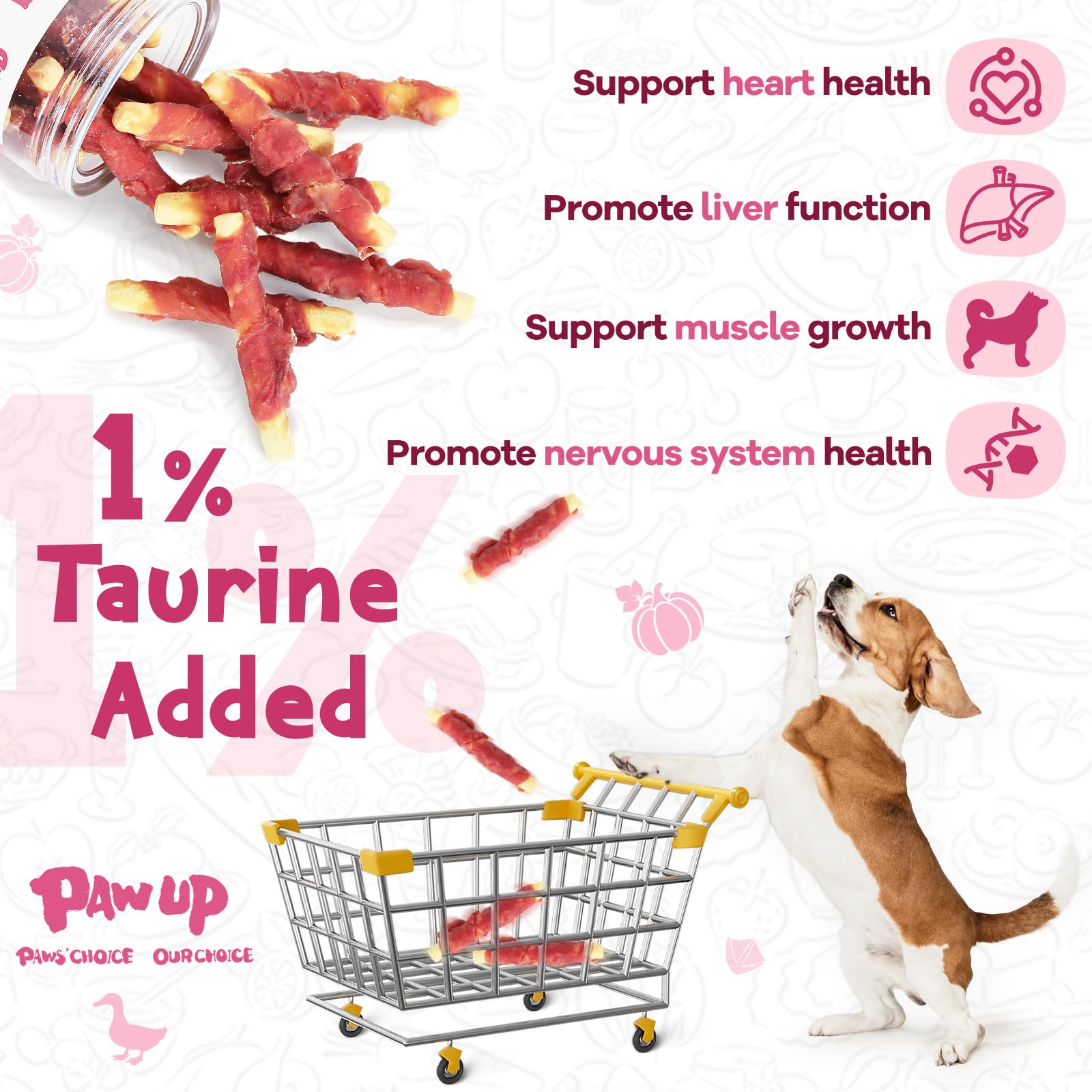 PAWUP pumpkin biscuit close-up highlights fiber-rich snack for digestion