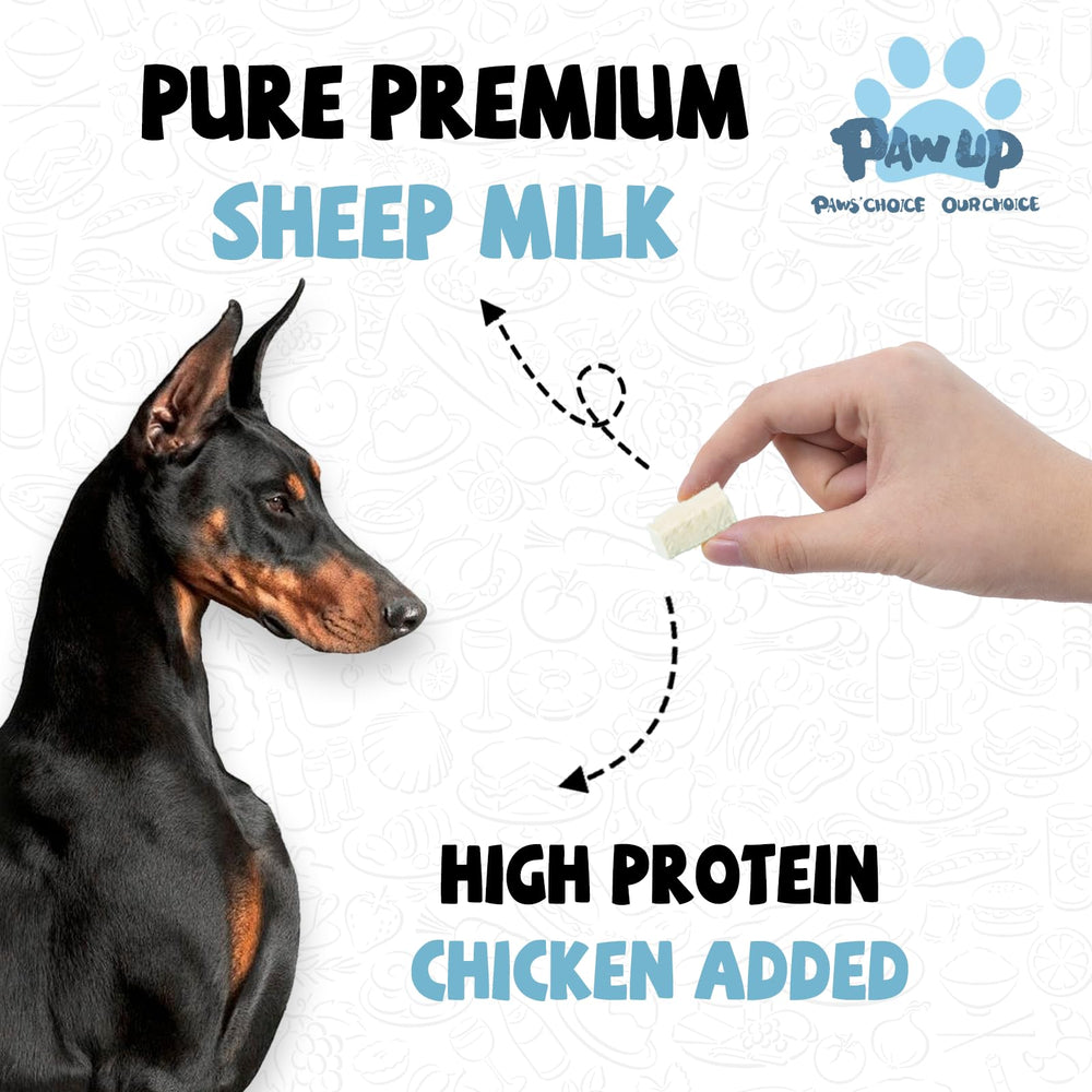 PAWUP puppy enjoying a treat during gentle transition to solid foods