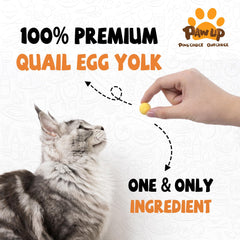 PAWUP quail egg yolk close-up highlights nutrient-rich, additive-free ingredients for dogs and cats.