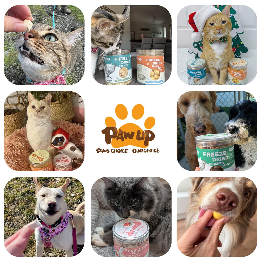 PAWUP rawhide-free claim badge highlights safe chew for dogs and cats.