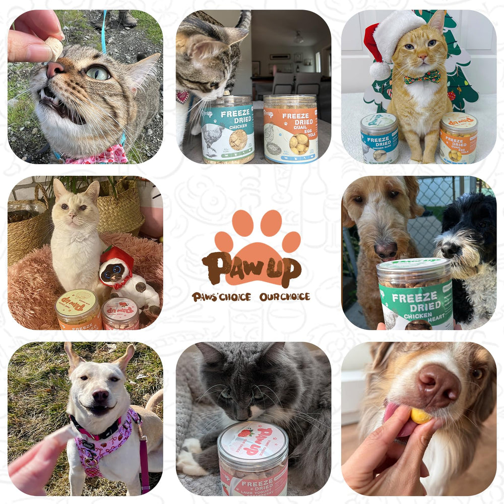 PAWUP Salmon aroma shot highlights inviting scent during use.