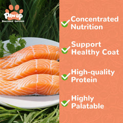 PAWUP Salmon treat used as a meal topper to boost protein flavor.