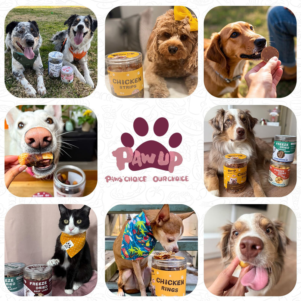PAWUP Treats create joyful bonding moments during feeding and training.