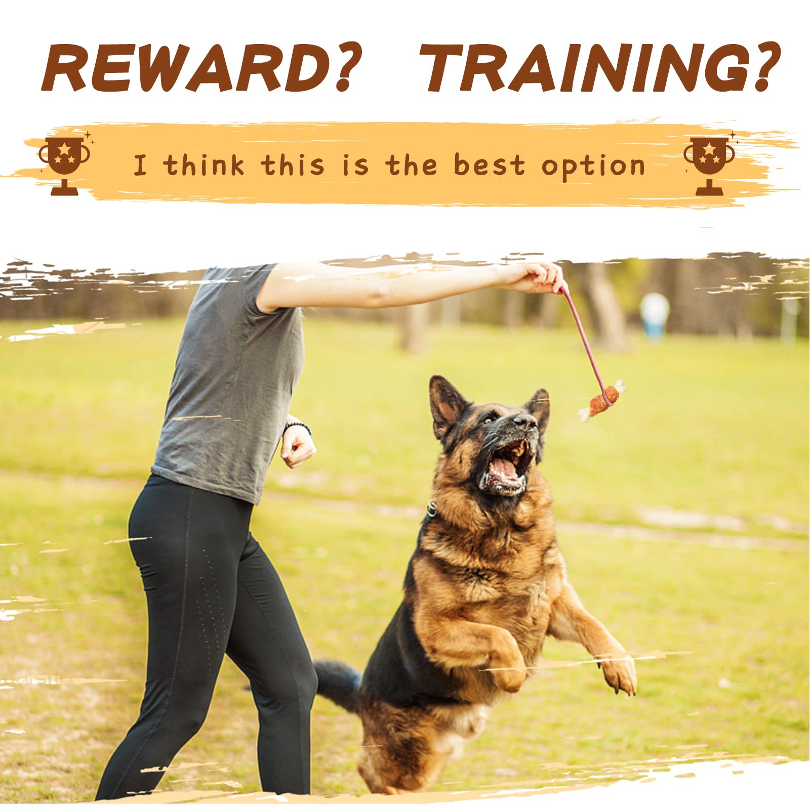 PAWUP seguro para cachorros y perros pequeños durante el tiempo de merienda.