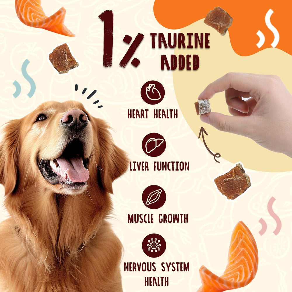 PAWUP Smoked Salmon Treats close-up – tasty training reward loved by dogs