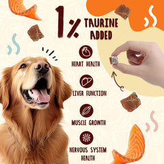 PAWUP Smoked Salmon Treats close-up – tasty training reward loved by dogs