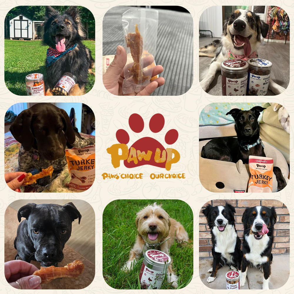 PAWUP Turkey Dog Treats dental-friendly chew suggests support for dental hygiene.