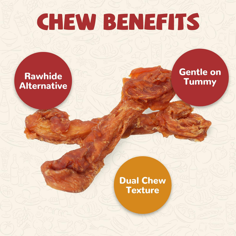 PAWUP Turkey Dog Treats dual-flavor wrap demonstrates satisfying contrast during chew.