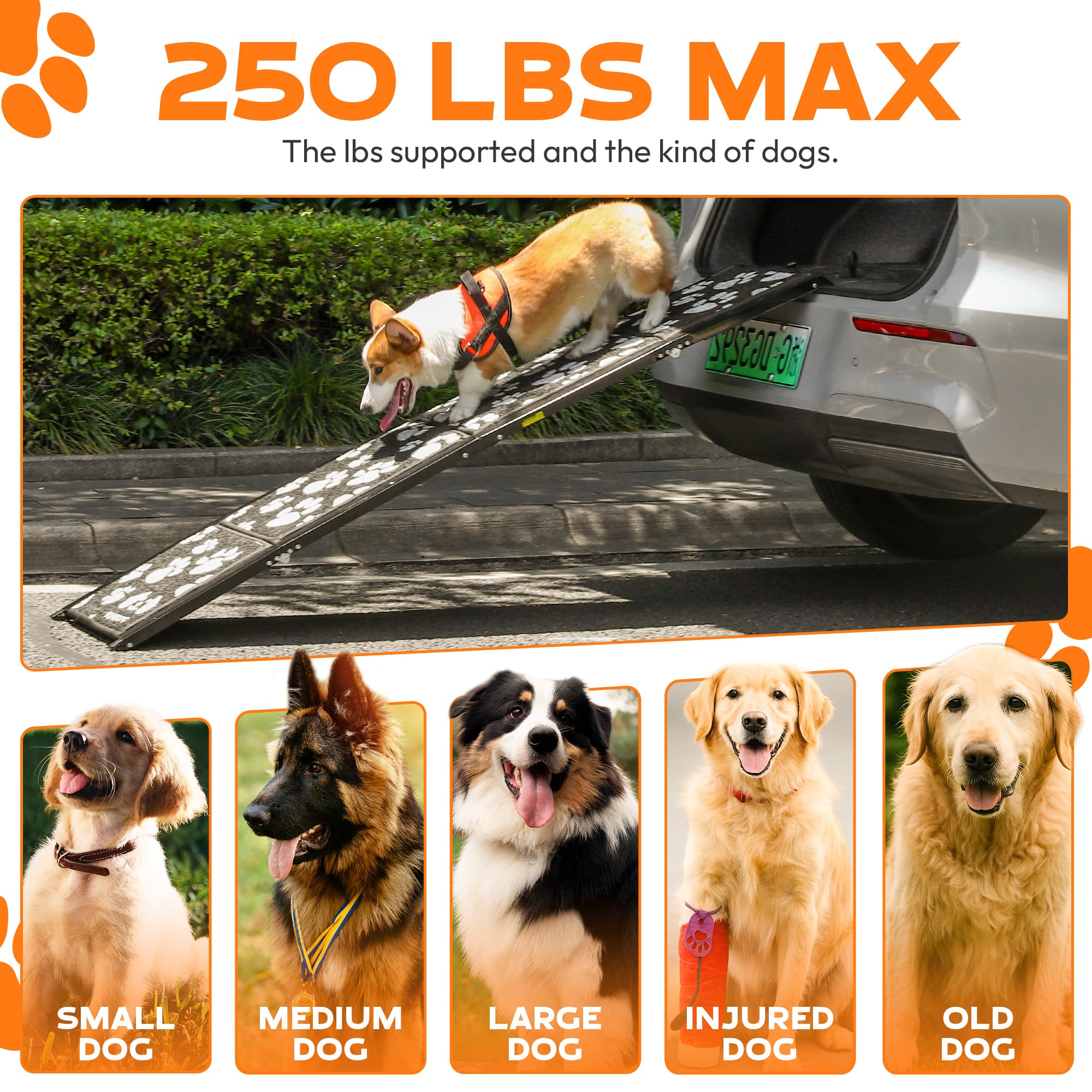 PAWUV dog ramp folds tri-fold for compact storage and portability