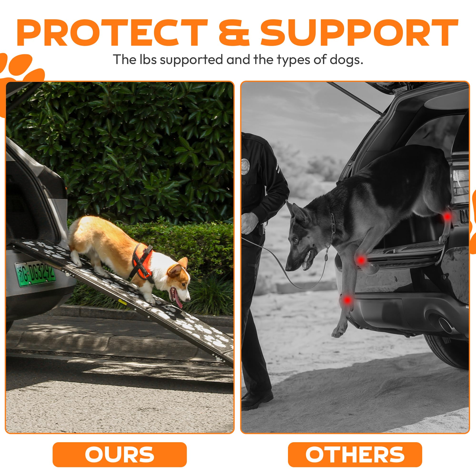 PAWUV dog ramp non-slip paw print surface provides traction in all weather