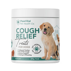 PawVital cough medicine chews real chicken closeup for palatability and potential relief
