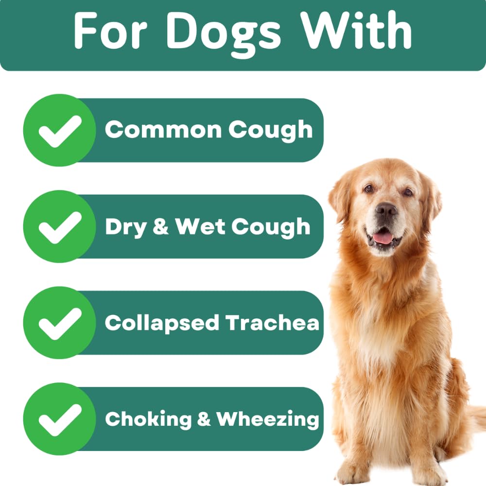 PawVital dog chew being offered during meal time for stress-free use