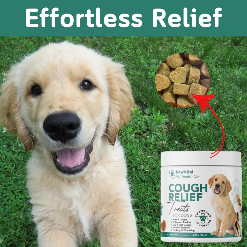 PawVital dog resting calmly after chew indicates potential throat comfort