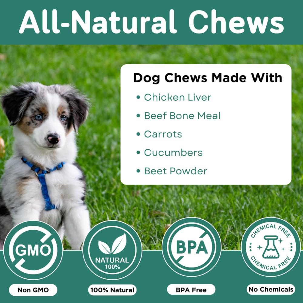 PawVital mess-free chews displayed beside container for odor-free home use
