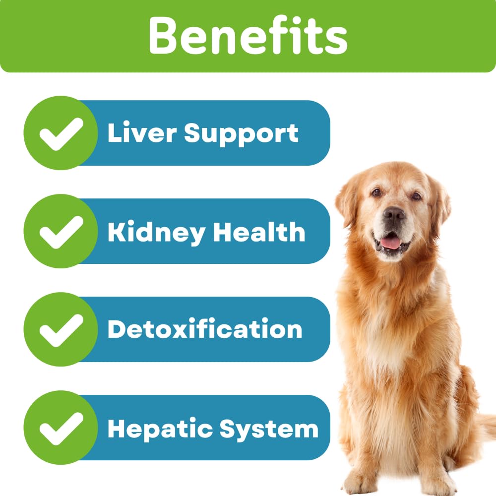 PawVital Dog enjoys chews during treat time reinforcing daily liver-support routine.