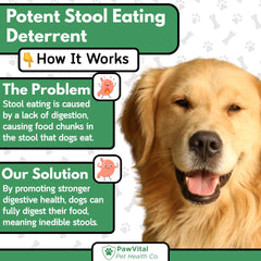 PawVital No Poo Chews breath-freshening herbs closeup suggests reduced odor.