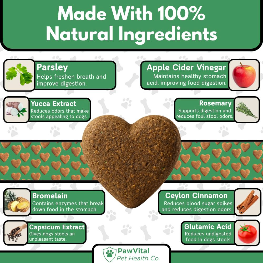 PawVital No Poo Chews probiotics bottle demonstrates gut-friendly formula.