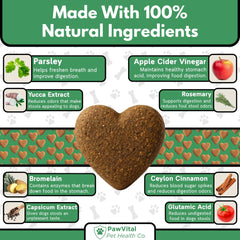PawVital No Poo Chews probiotics bottle demonstrates gut-friendly formula.