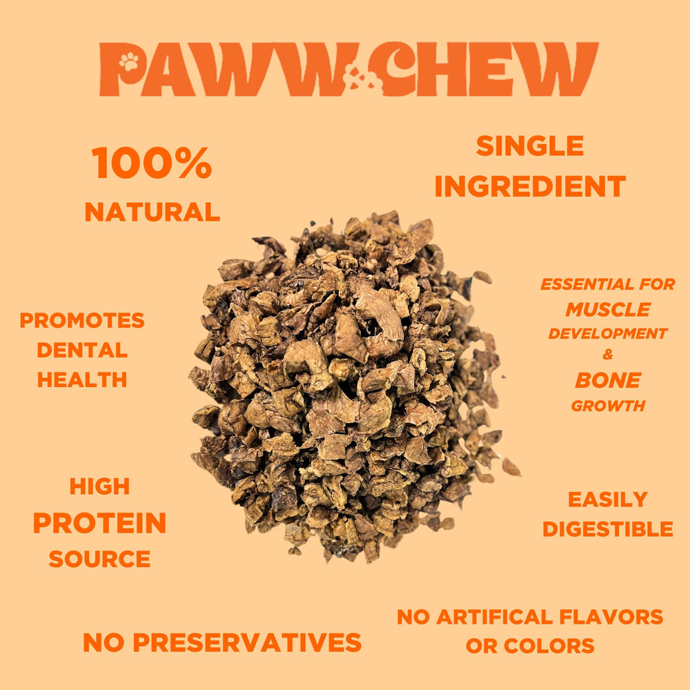 PAWW CHEW beef-lung-treats-dog-reward captures joyful recall after success