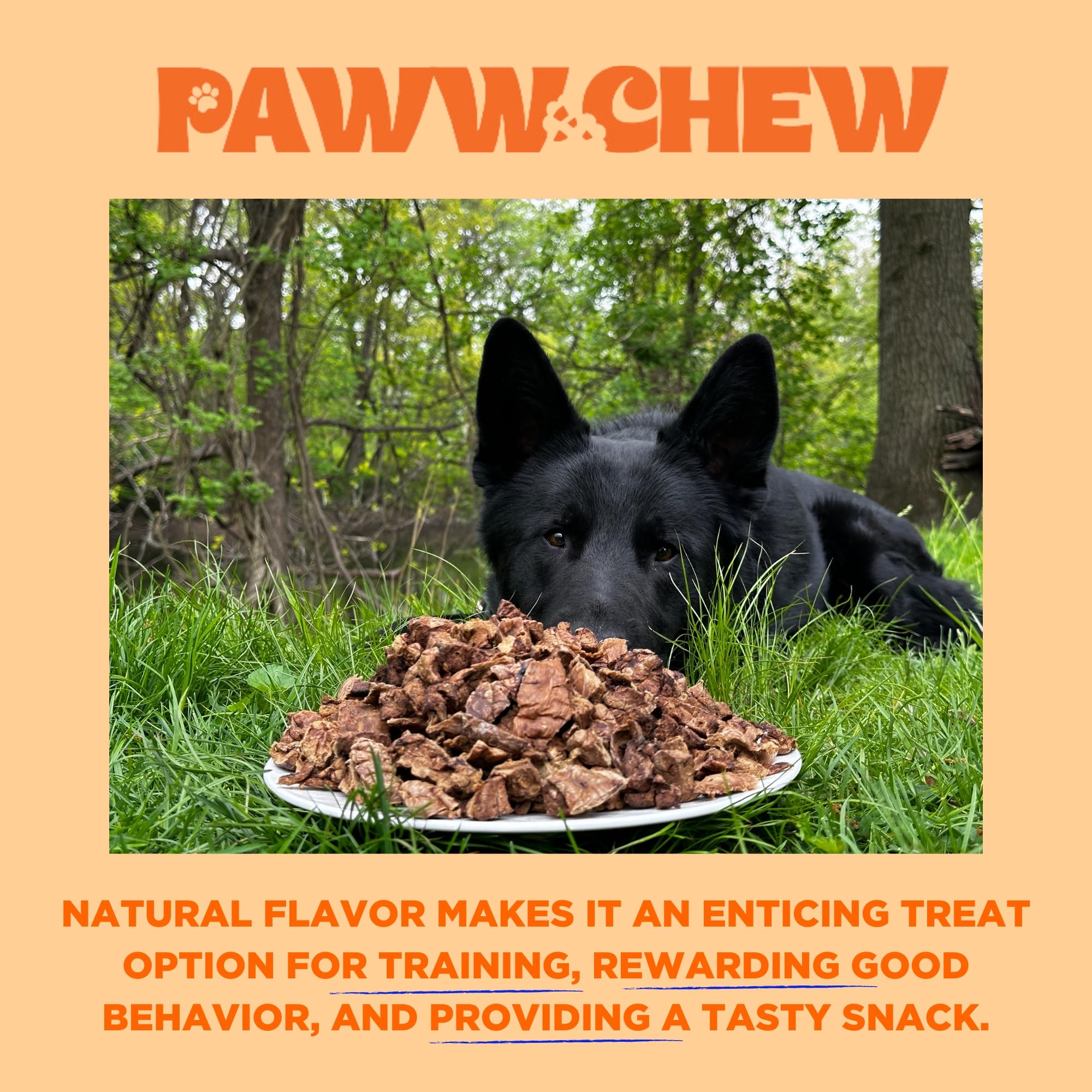 PAWW CHEW Beef Lung Treats low odor claim illustrated on product visuals for indoor snacking comfort
