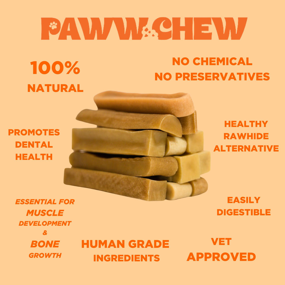 PAWW CHEW dog enjoying this treat with fresh breath potential