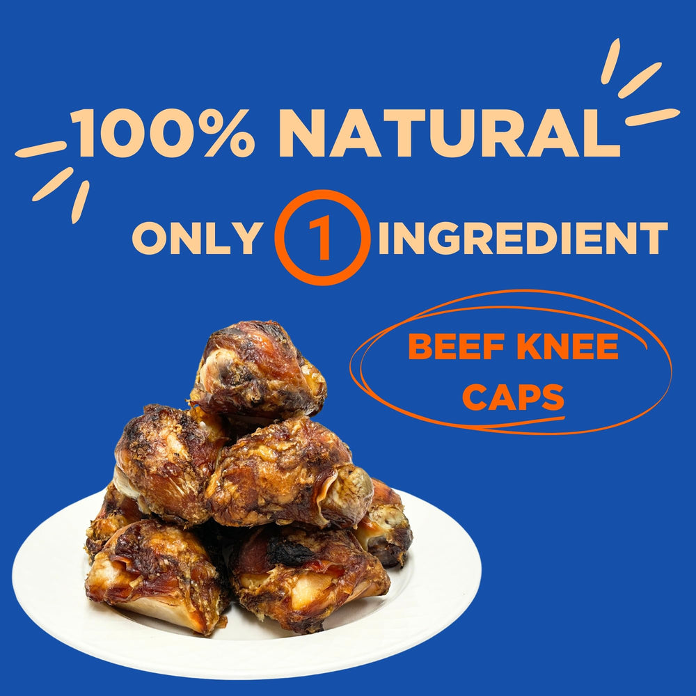 PAWW CHEW knee caps closeup reveals nutrient-dense beef knee caps for healthy teeth.