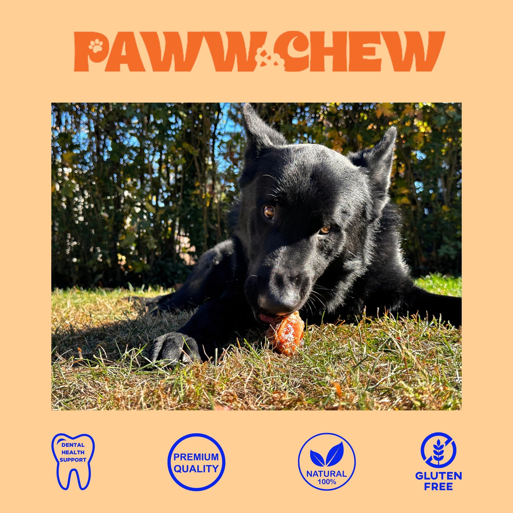 PAWW CHEW knee caps dog chewing action demonstrates long-lasting chew and boredom relief.