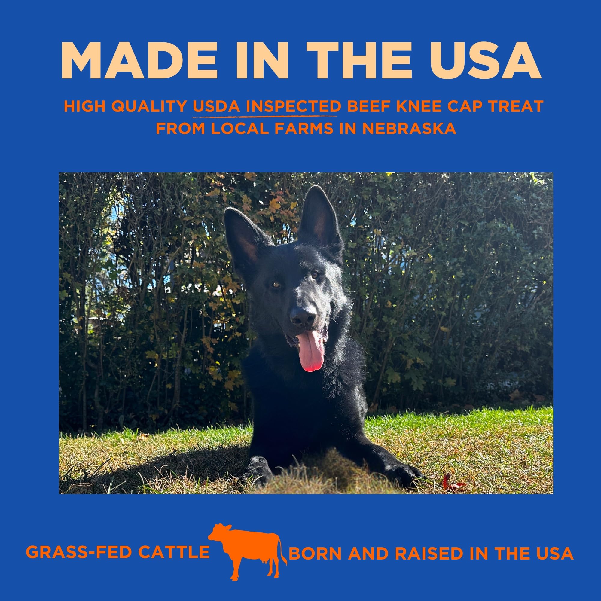 PAWW CHEW knee caps single-ingredient beef shown for sensitive dogs.