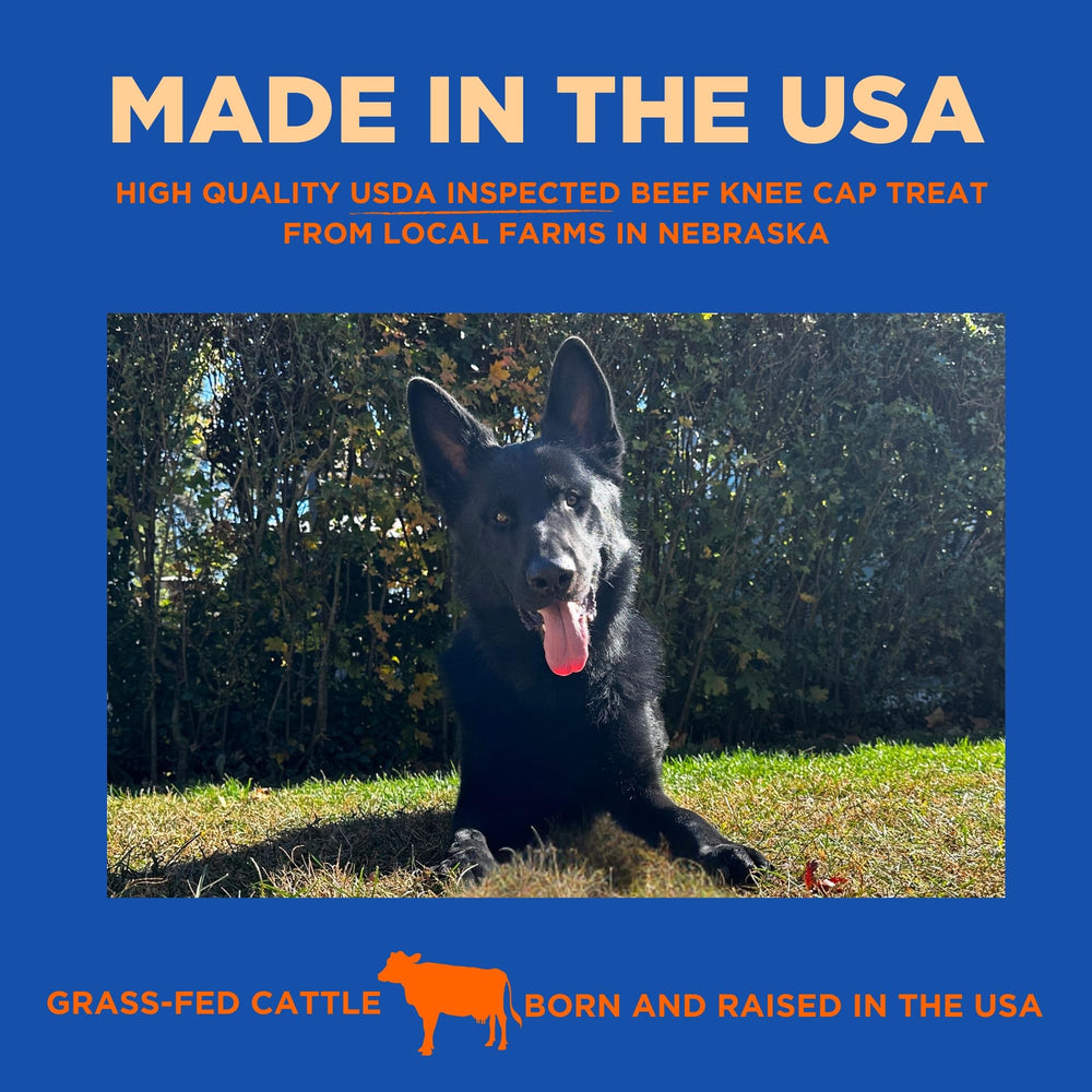 PAWW CHEW knee caps single-ingredient beef shown for sensitive dogs.