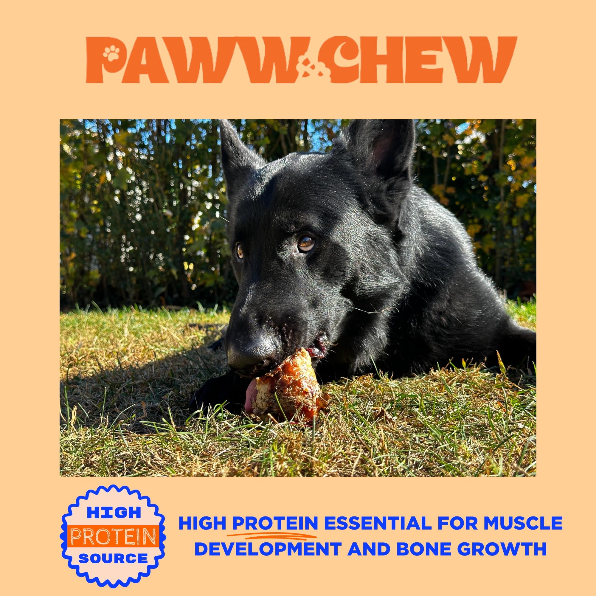 PAWW CHEW knee caps USA farm image highlights USA-made grass-fed sourcing for safety.