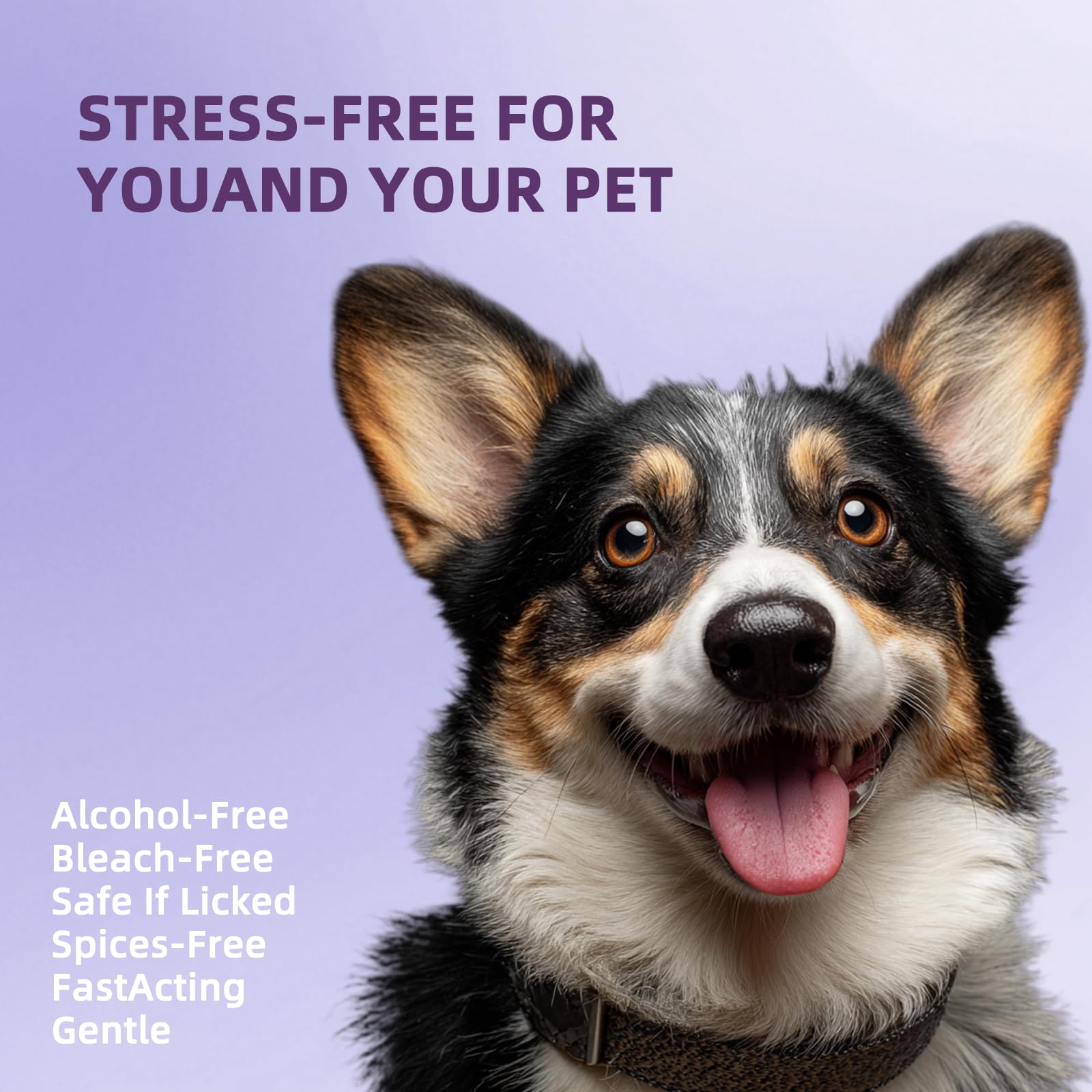 Pawyoo mint-fresh-breath wipes deliver a refreshing post-use feel.