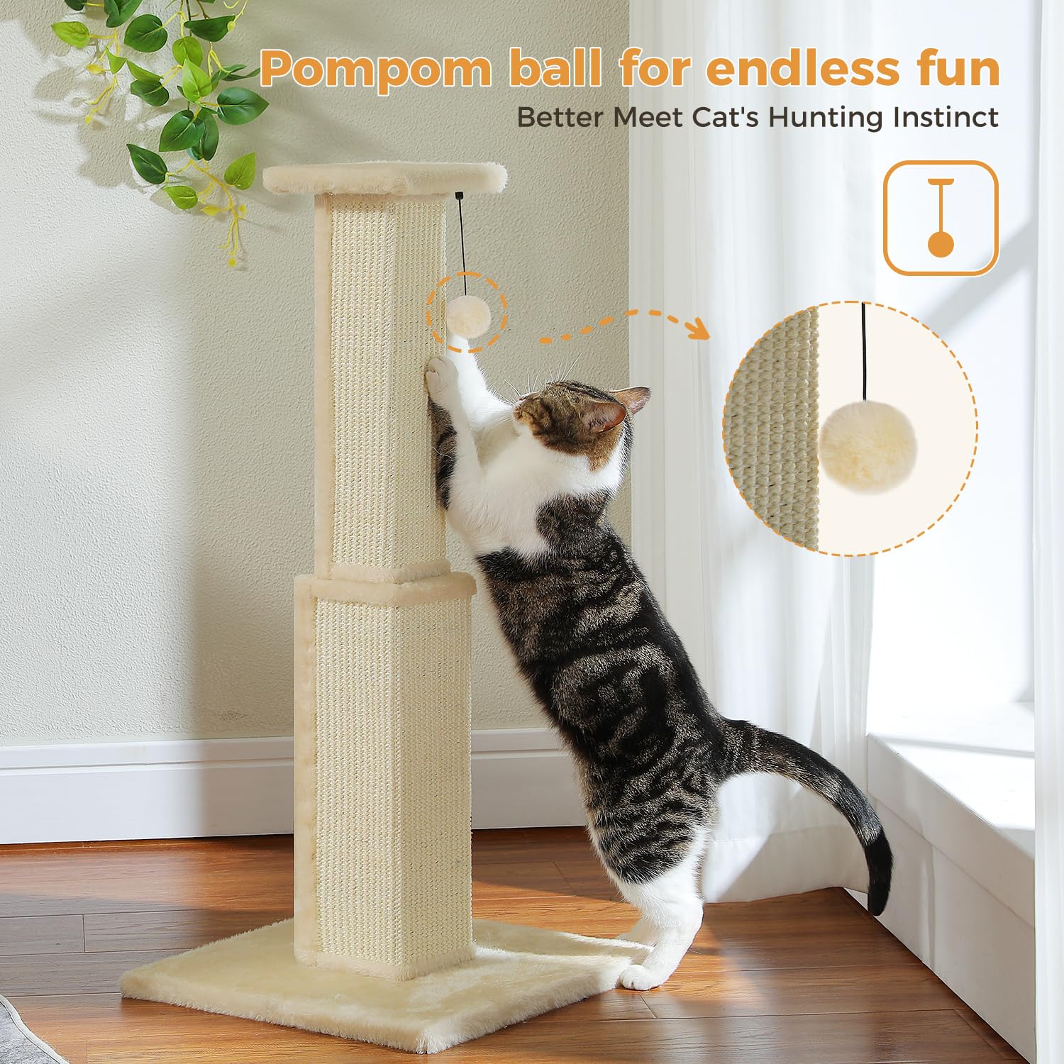 PAWZ Road assembly included tools and illustrated instructions for easy setup.
