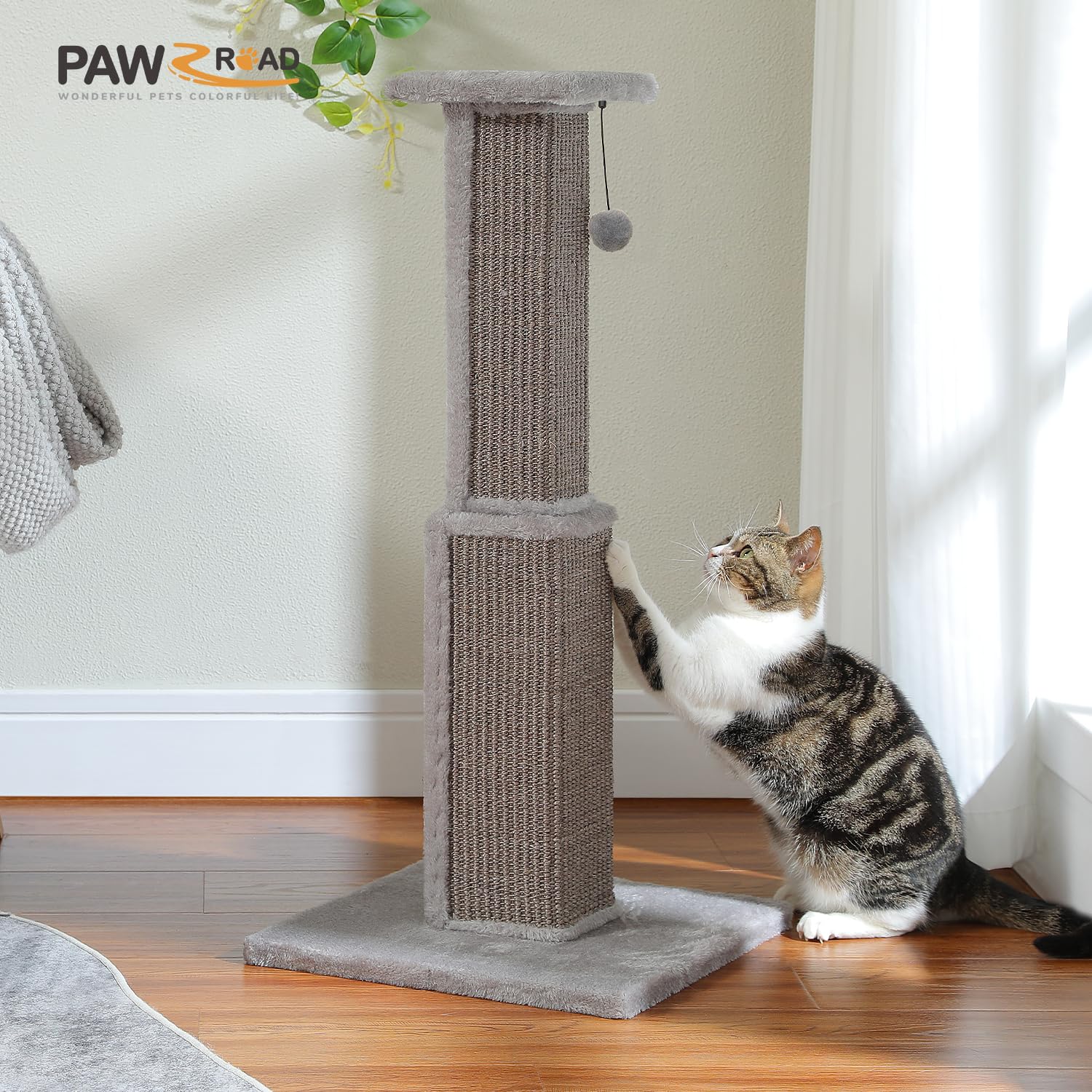 PAWZ Road assembly instructions included for quick setup.
