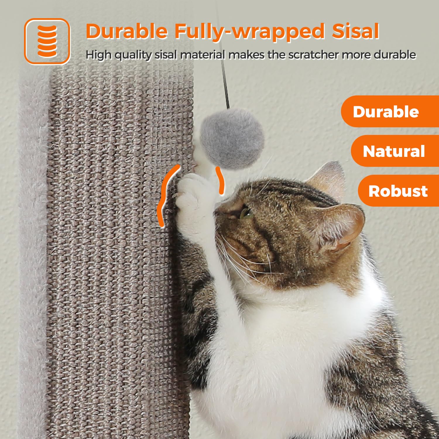 PAWZ Road base detail highlights stable 15.7x15.7 inch footprint for upright use.