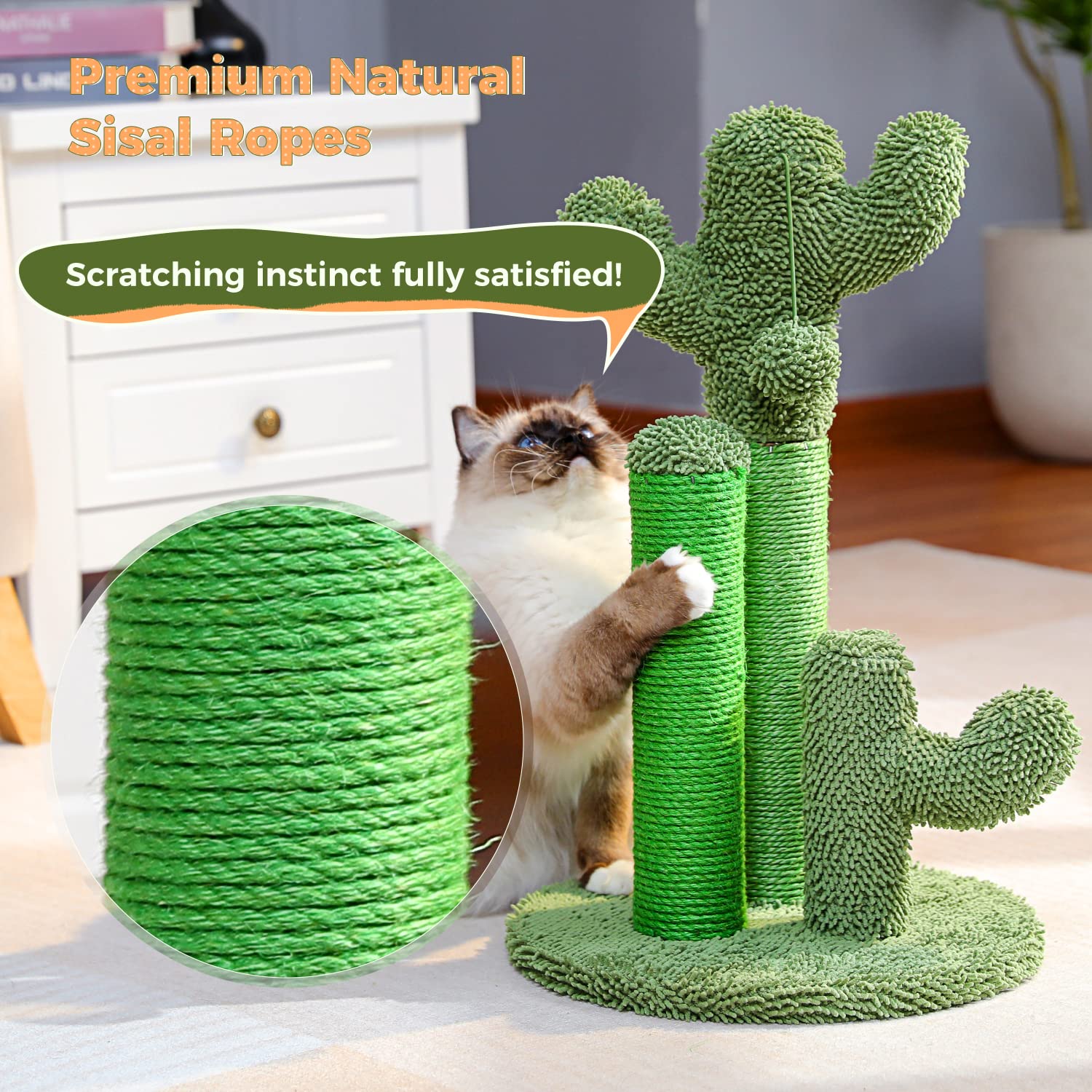 PAWZ Road cactus scratcher includes easy assembly for quick setup.