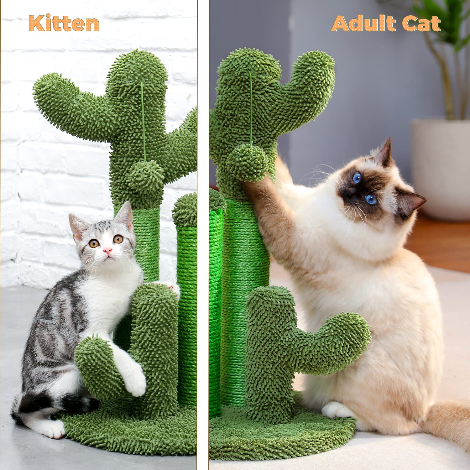 PAWZ Road cactus cat scratcher complements modern decor in any room.